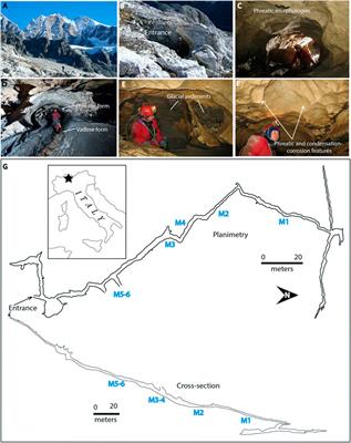 Microbial Communities in Vermiculation Deposits from an Alpine Cave